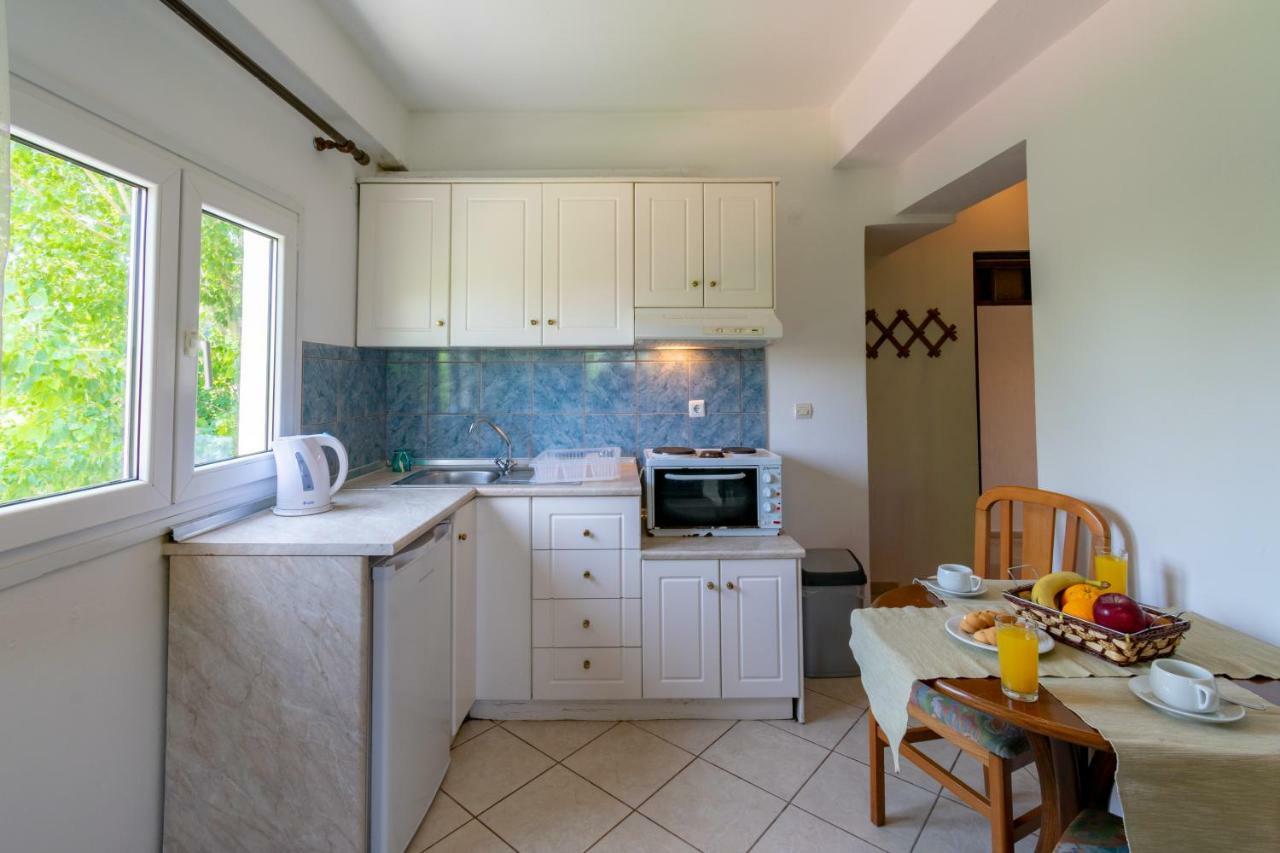 Apartment Litsa